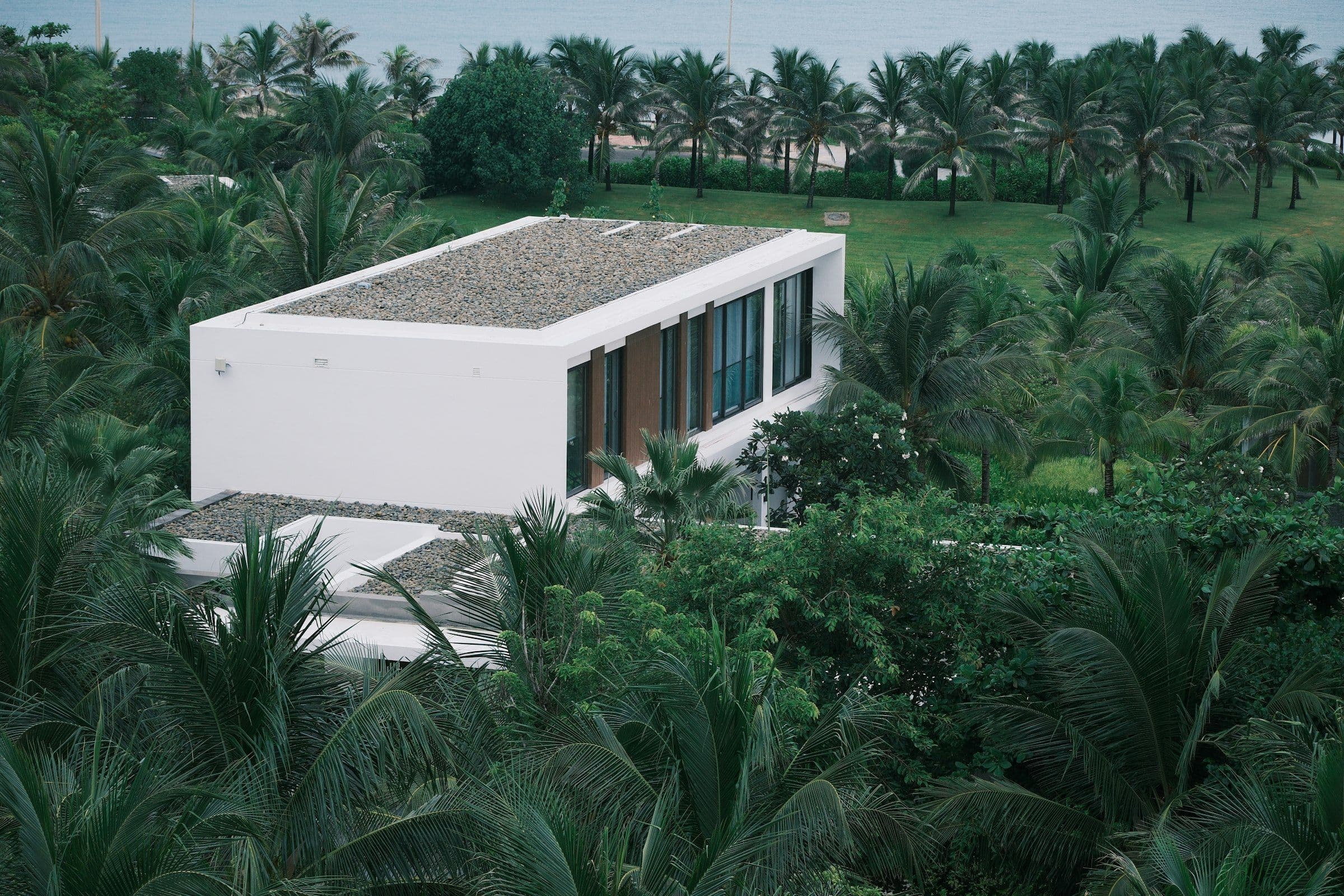 White flat-roof modern home among tall palms